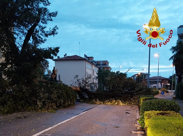 Maltempo, Treni In Ritardo. Zaia Firma Lo Stato Di Emergenza: Venezia ...