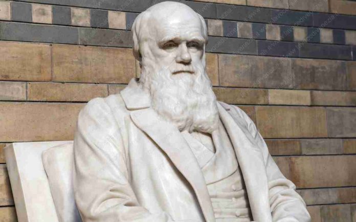 Statua di Charles Darwin nel Museo di Storia Naturale